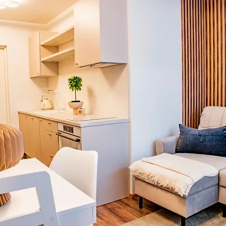 Express Premium - City Center Appartement *