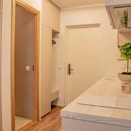 Express Premium - City Center Apartman *