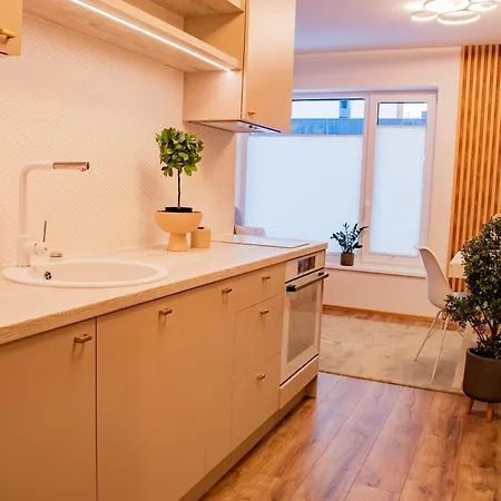 Express Premium - City Center Appartement