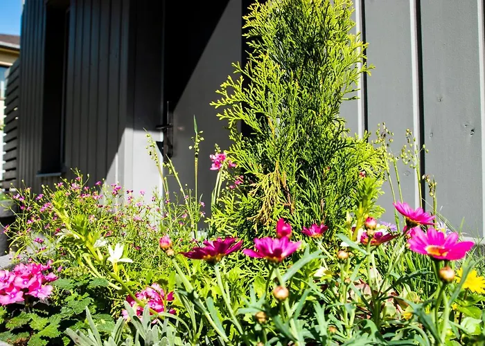 Express Premium - City Center Apartamento Tartu